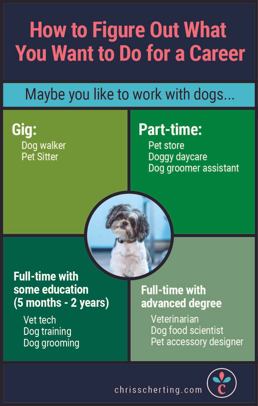 How to figure out what you want to do for a career - graphic - chris scherting
