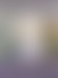 First major retrospective of artist Monica Sjöö at the Moderna Museet