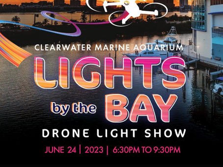 LIGHTS BY THE BAY | Drone Light Show