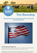 The Roundup - Edition One Thumbnail.png