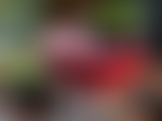 Transform Your Bonfire Night with Spiced Blackberry Vodka Liqueur Cocktails