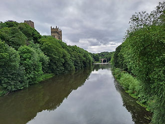 20230801_121616.jpg