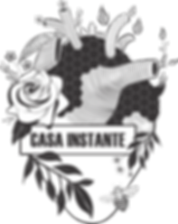 logo casa 2.png