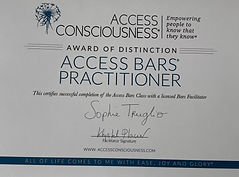 Access bars.jpeg