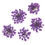 Thumbnail: Dried Flowers for Nail Decorations MollyLac 5 pcs