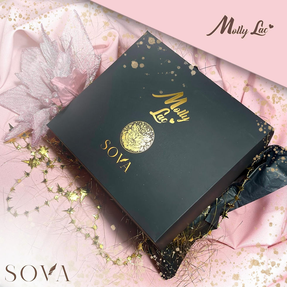 Thumbnail: Pink Pencil case, case for brushes Sova by Aleksandra Sowa-Falarz