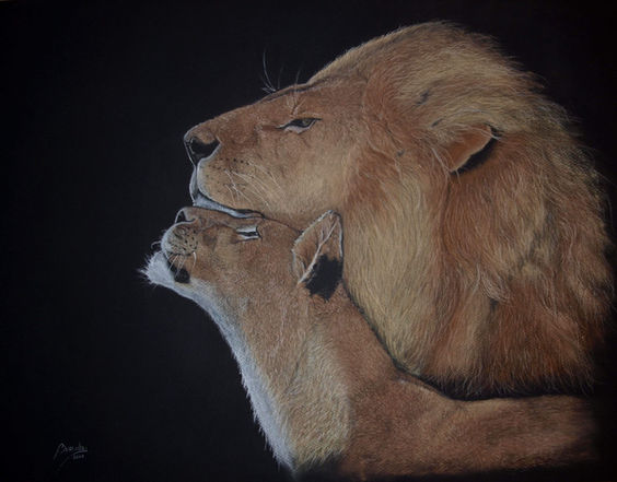 Lions