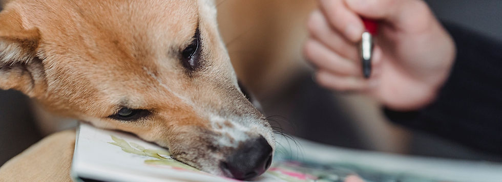 An endearing sight of a cute dog resting its head on a paper while its owner draws nearby, exemplifying the loyal companionship and support between pet and artist.