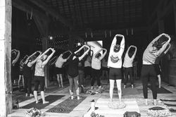 flex yoga farm fest 2022 (127 of 168)