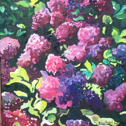 Ernie Lee, Pink Hydrangeas