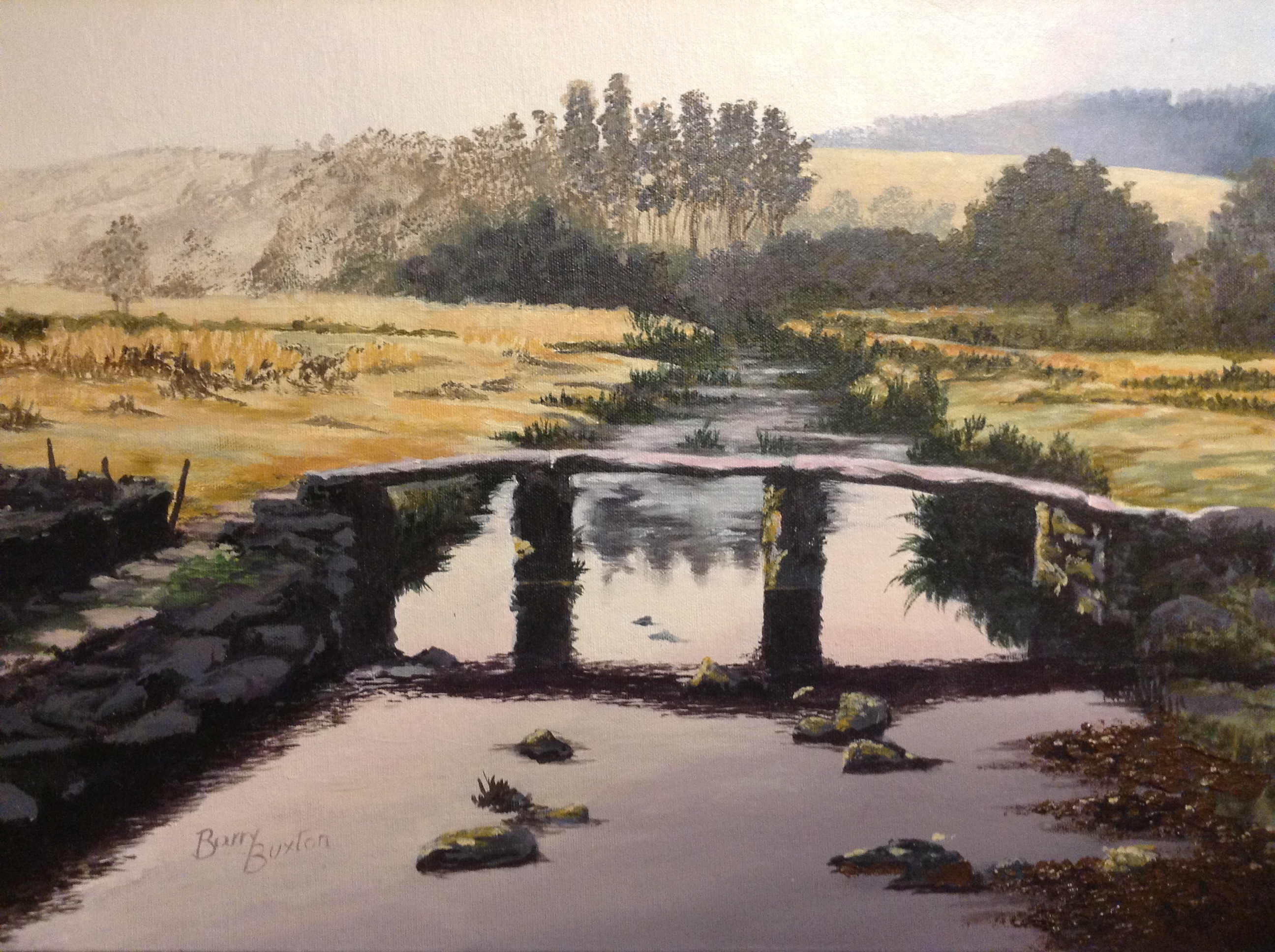 Dartmoor scene