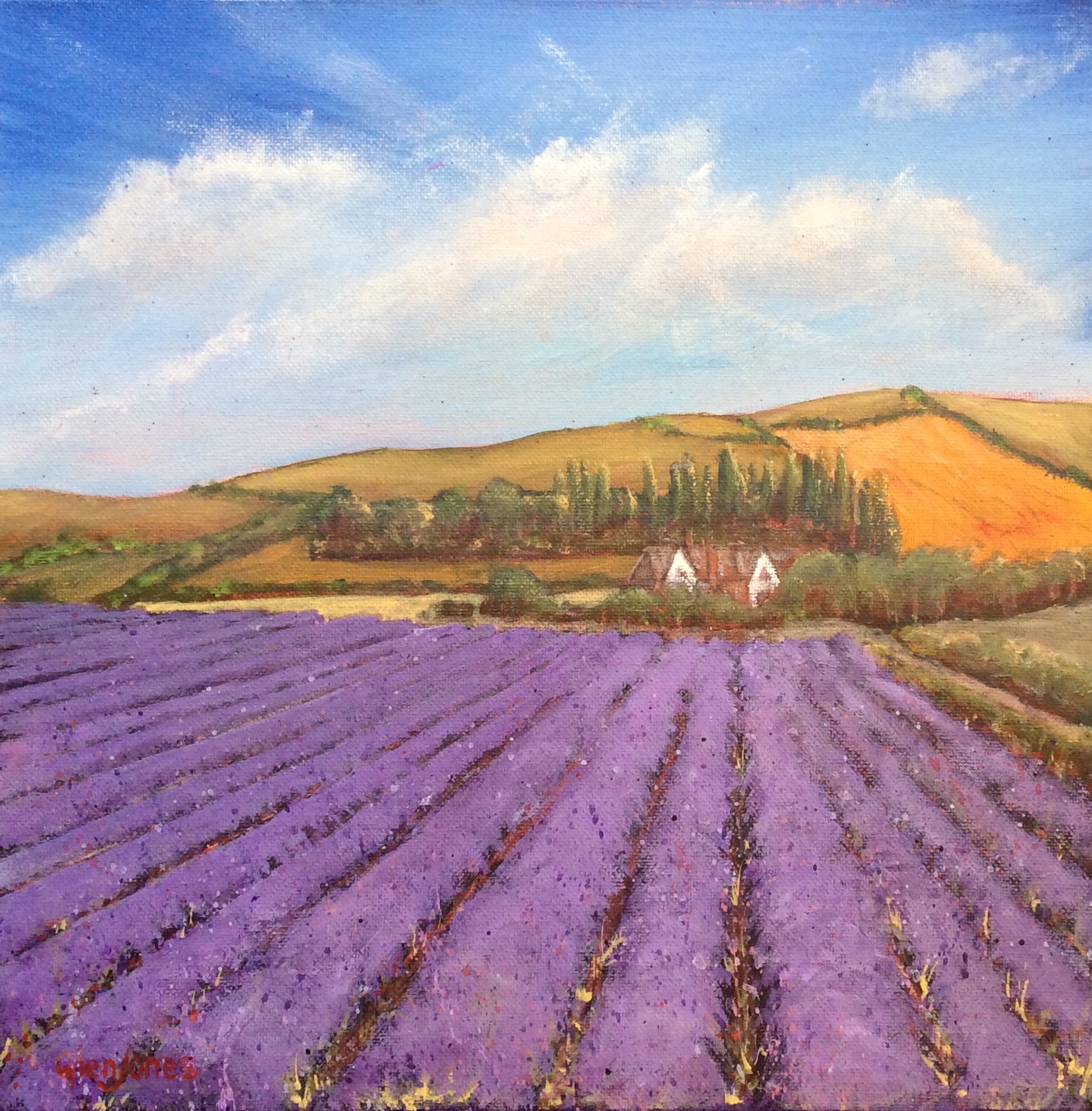 Kentish Lavender Fields, Acrylic