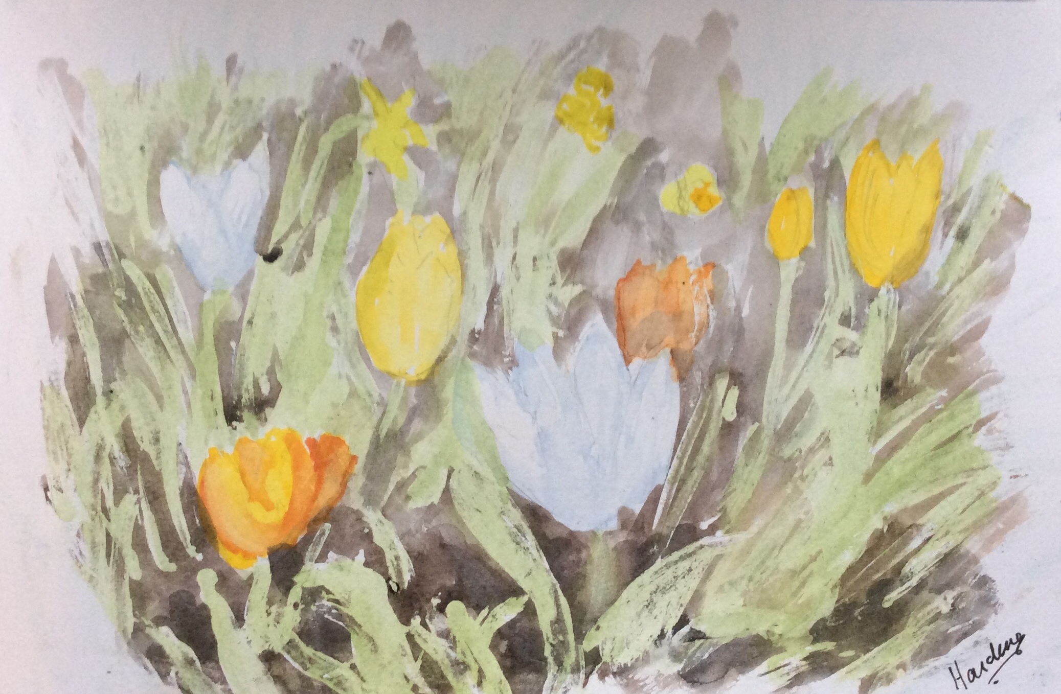 Floral Display