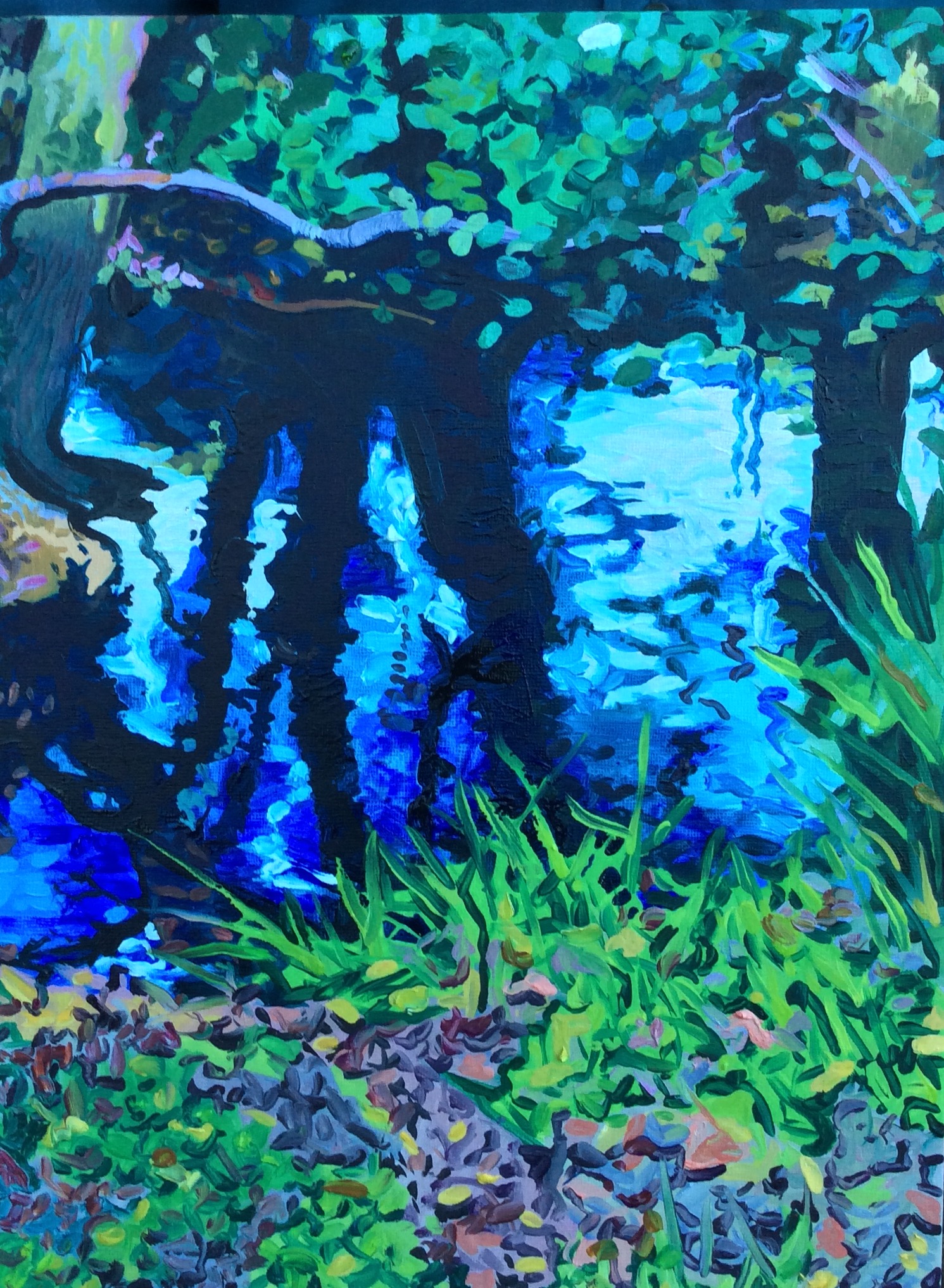Reflections, Bovey Tracey