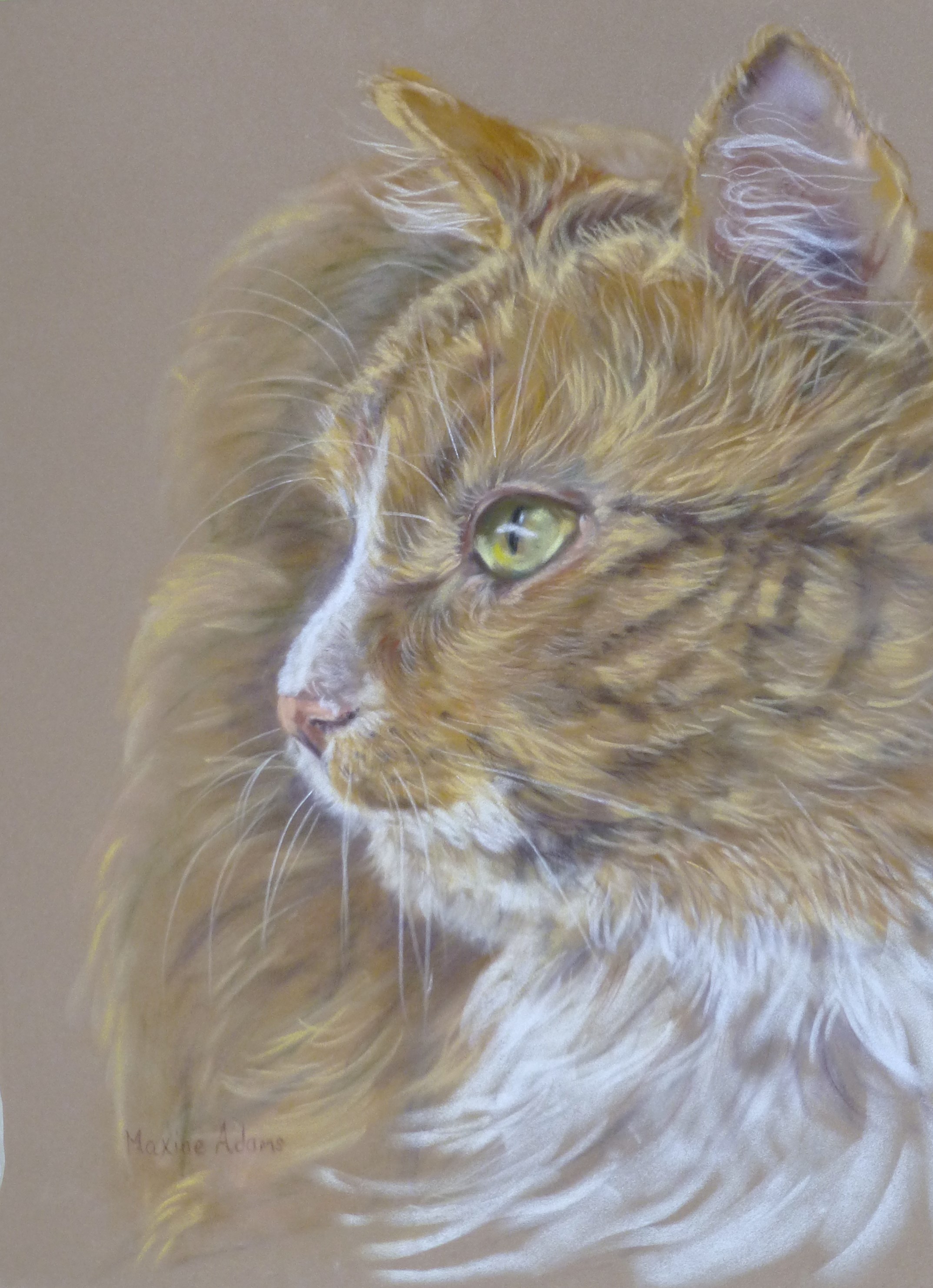 Cat in pastel