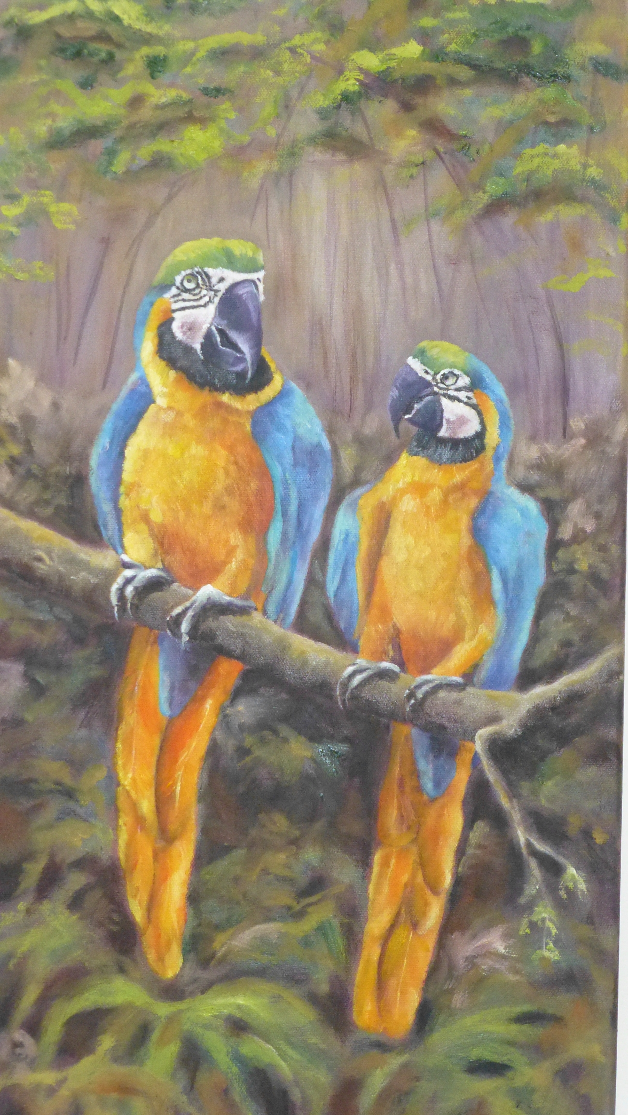 Parrots
