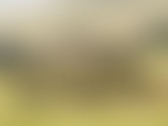 Article: Why Nature?