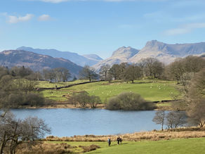 Walk: Lake District - Elterwater and Loughrigg Tarn