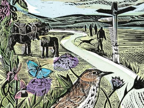 How to See Nature by Paul Evans
