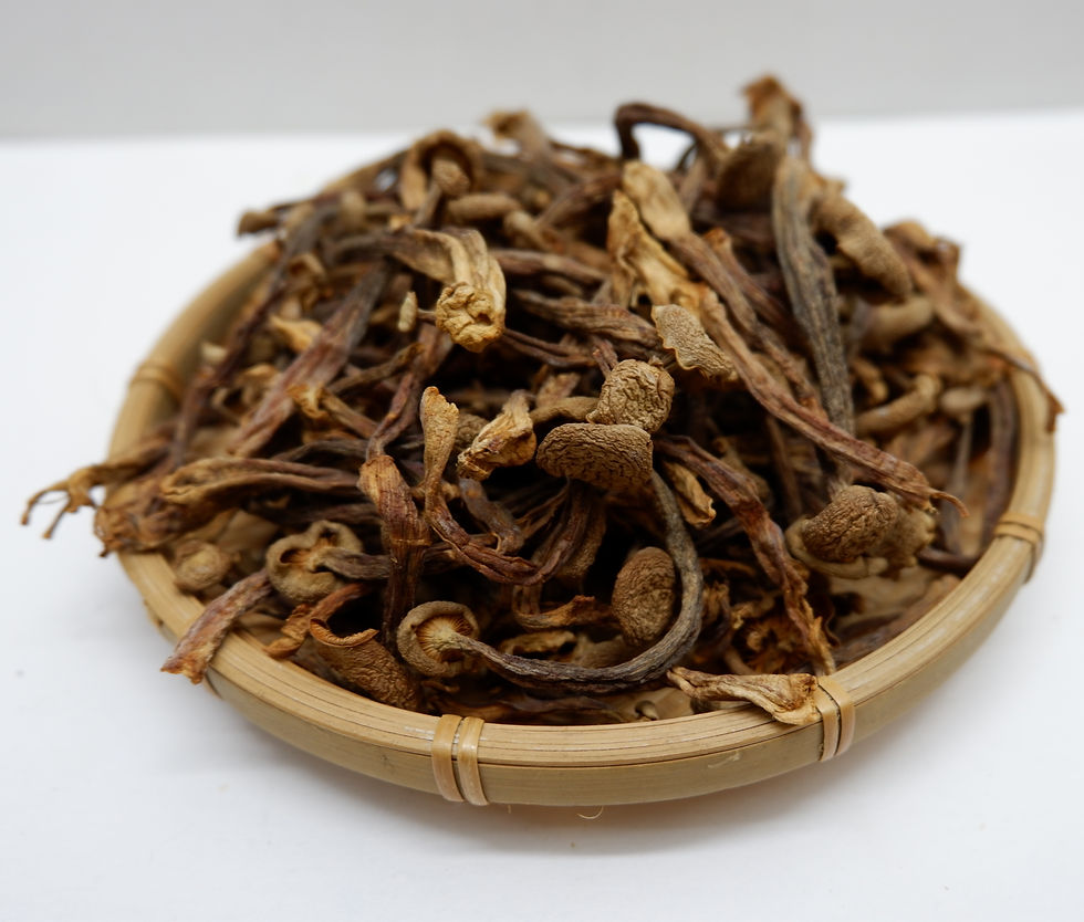 Thumbnail: Velvet Mushroom (50g / pkt)