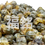 Thumbnail: Premium Tire Chrysanthemum (AA) (100G/PKT)