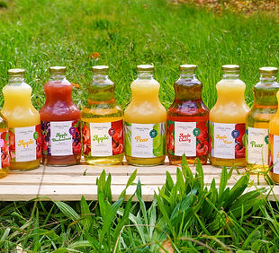 Ashton Valley Fresh - Product Image 1.jpg