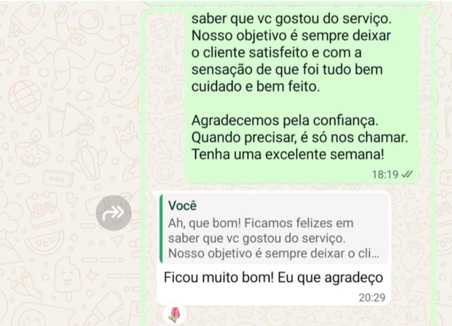Print de conversa de WhatsApp com feedback positivo de cliente