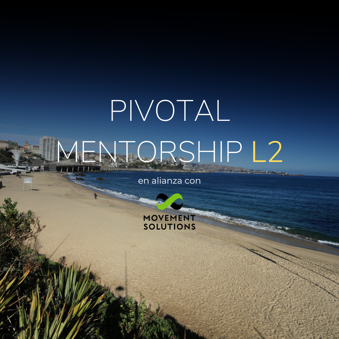 Level-2-Chile-Mentorship.webp