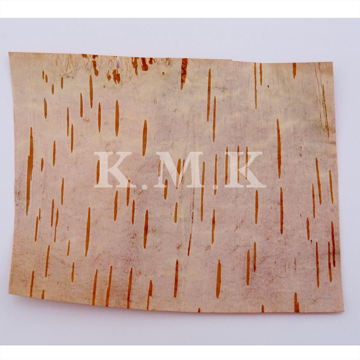 Bhojpatra | भोजपत्र