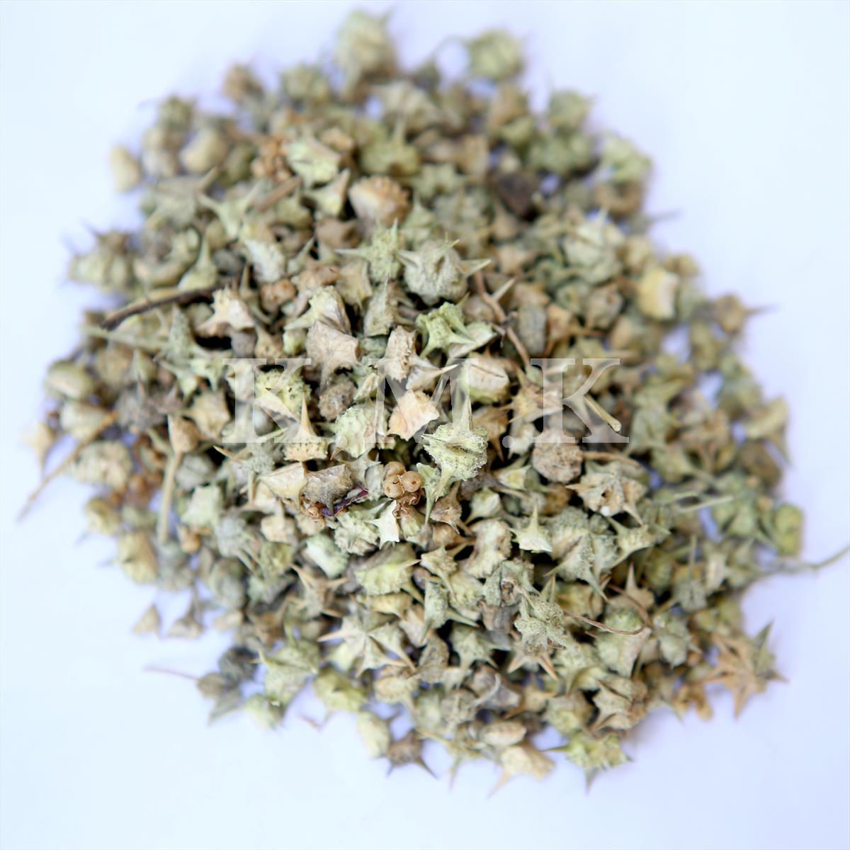 Sarata / Gokharu | सराटा