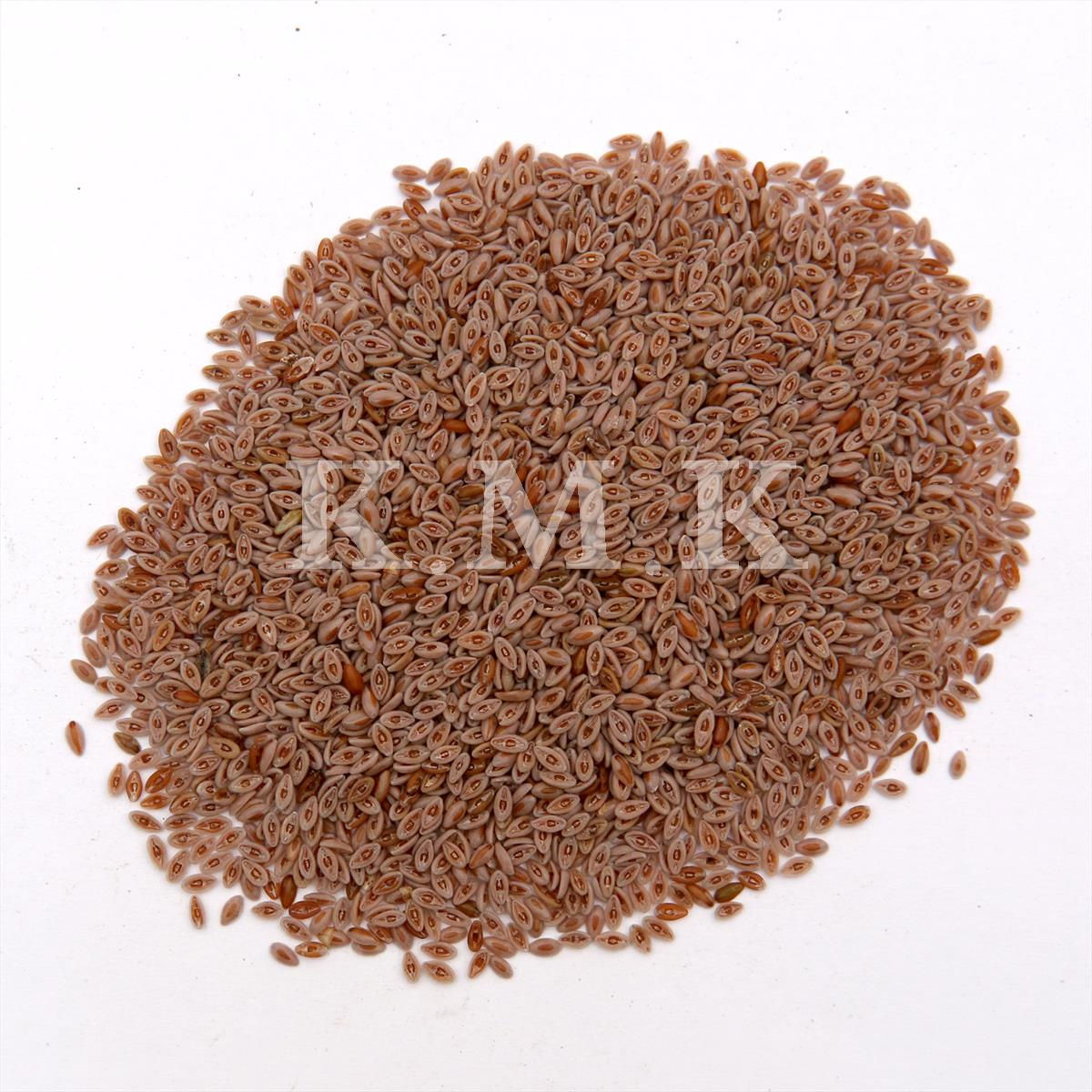 Isabgol Seeds | इसबगोल बी