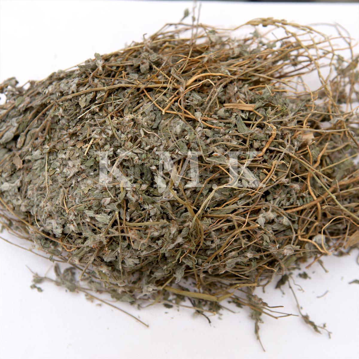 Shankhpushpi | शंखपुष्पि