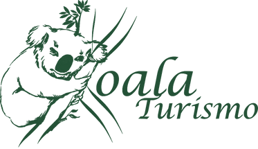 koala 3.png