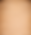 Fondo1Madera.png