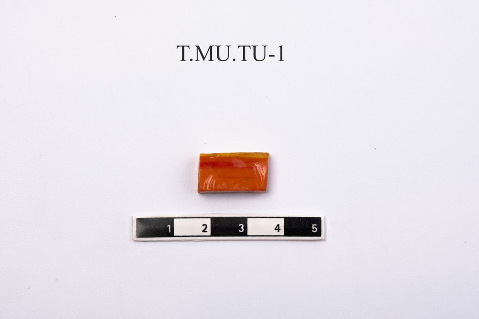 T-19