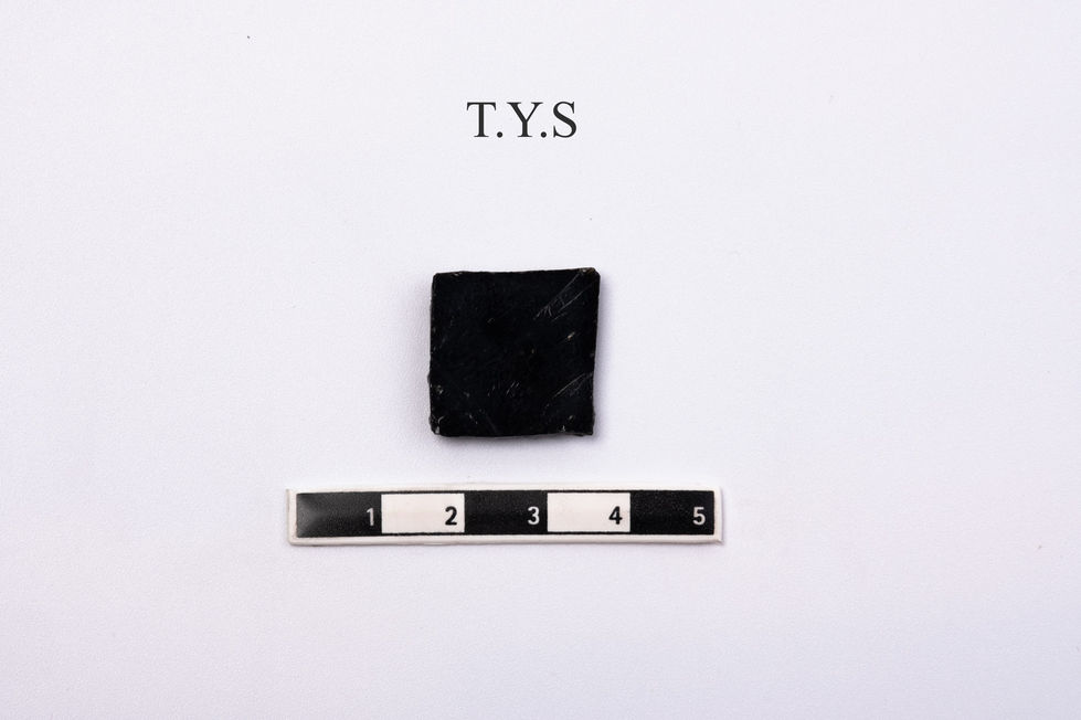 T-15