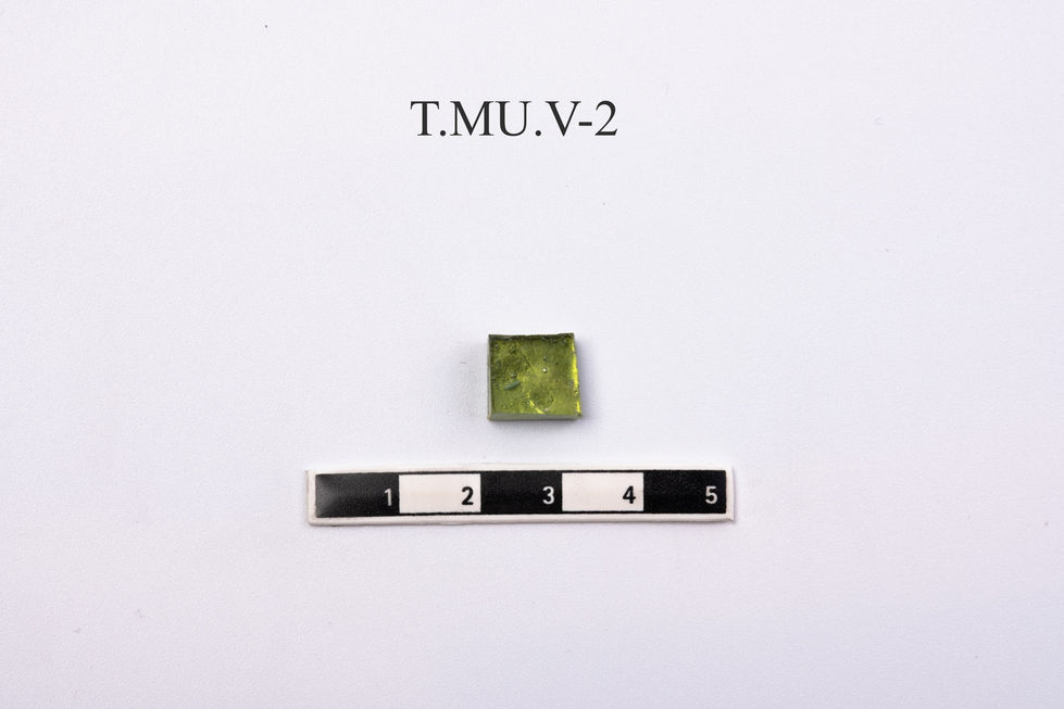 T-31