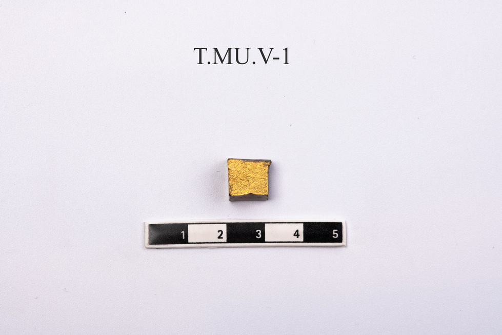 T-33