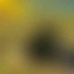 Lakeview Retreat, Iceland