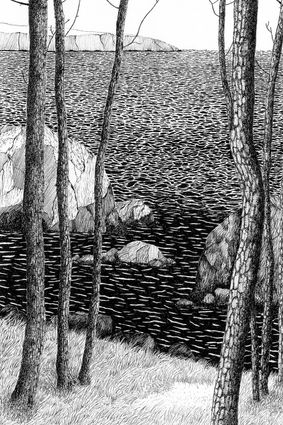 Dessin au stylo à encre noire pointe fine. représentant les pins les rochers et la mer