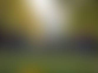 Exploring Urban Studies Through Collective Participation