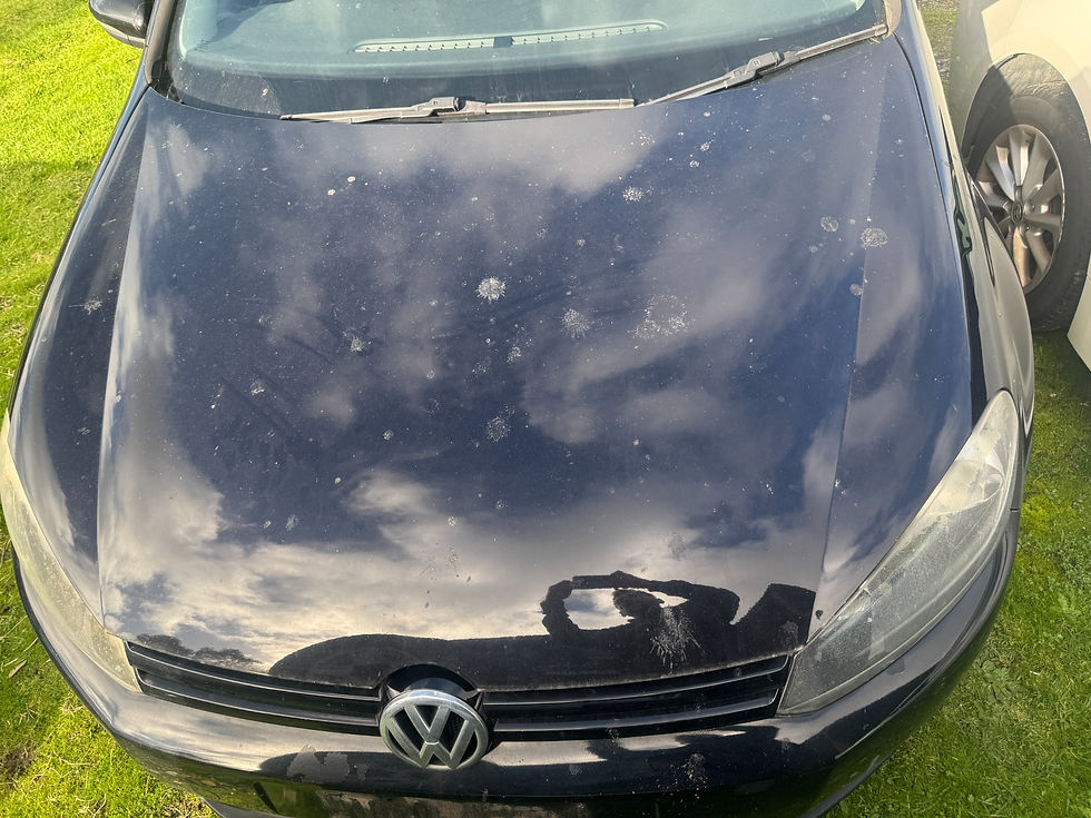 Thumbnail: Volkswagen Golf Mk6 vehicle photo 16