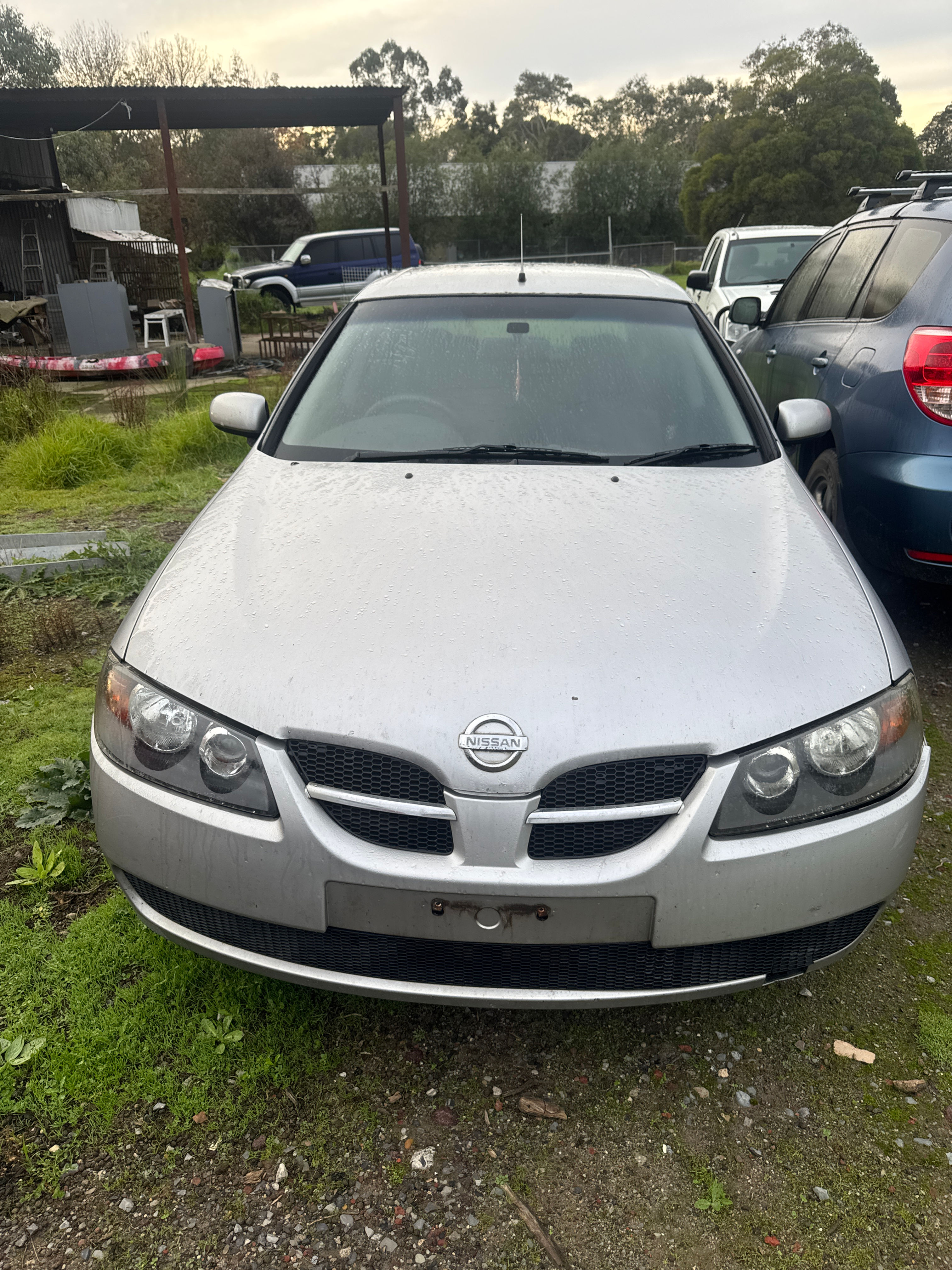 2003-2006 Nissan Pulsar Bonnet