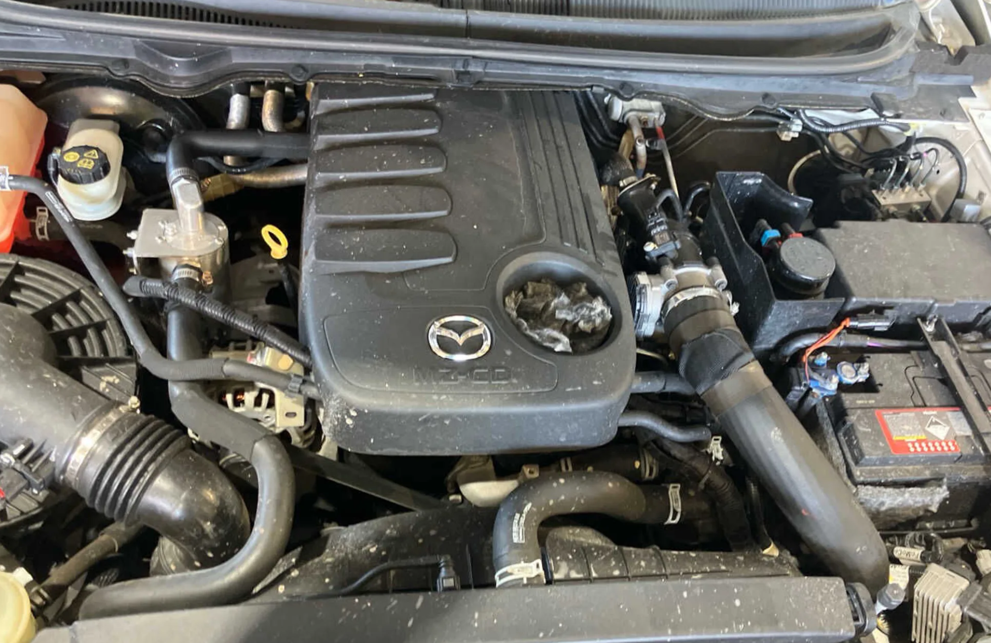 2013 Mazda BT-50 UP 3.2 diesel donor - white A2W
