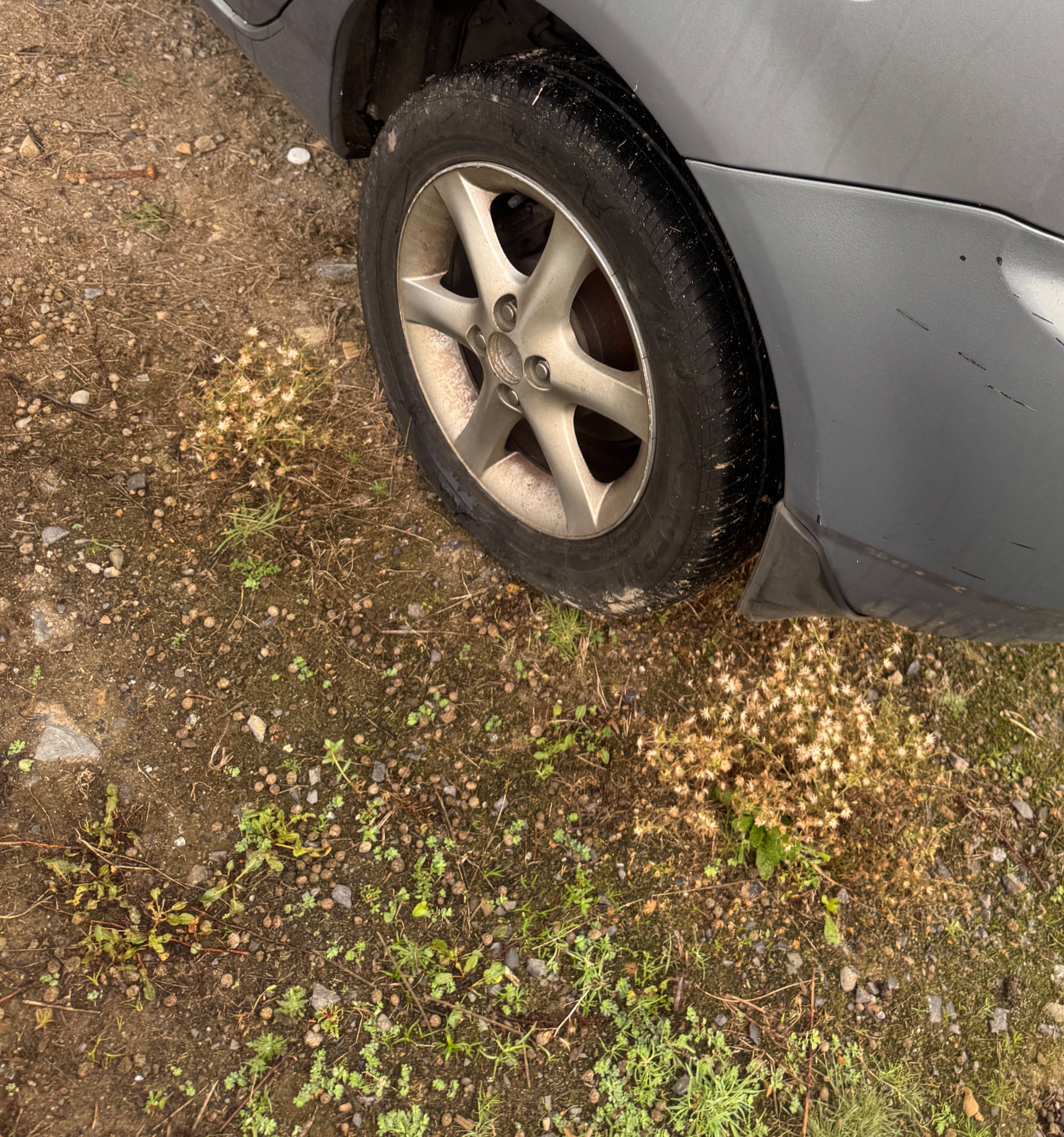 2004-2006 Nissan Pulsar N16 Series 2 15 Inch Steel Wheel & Tyre