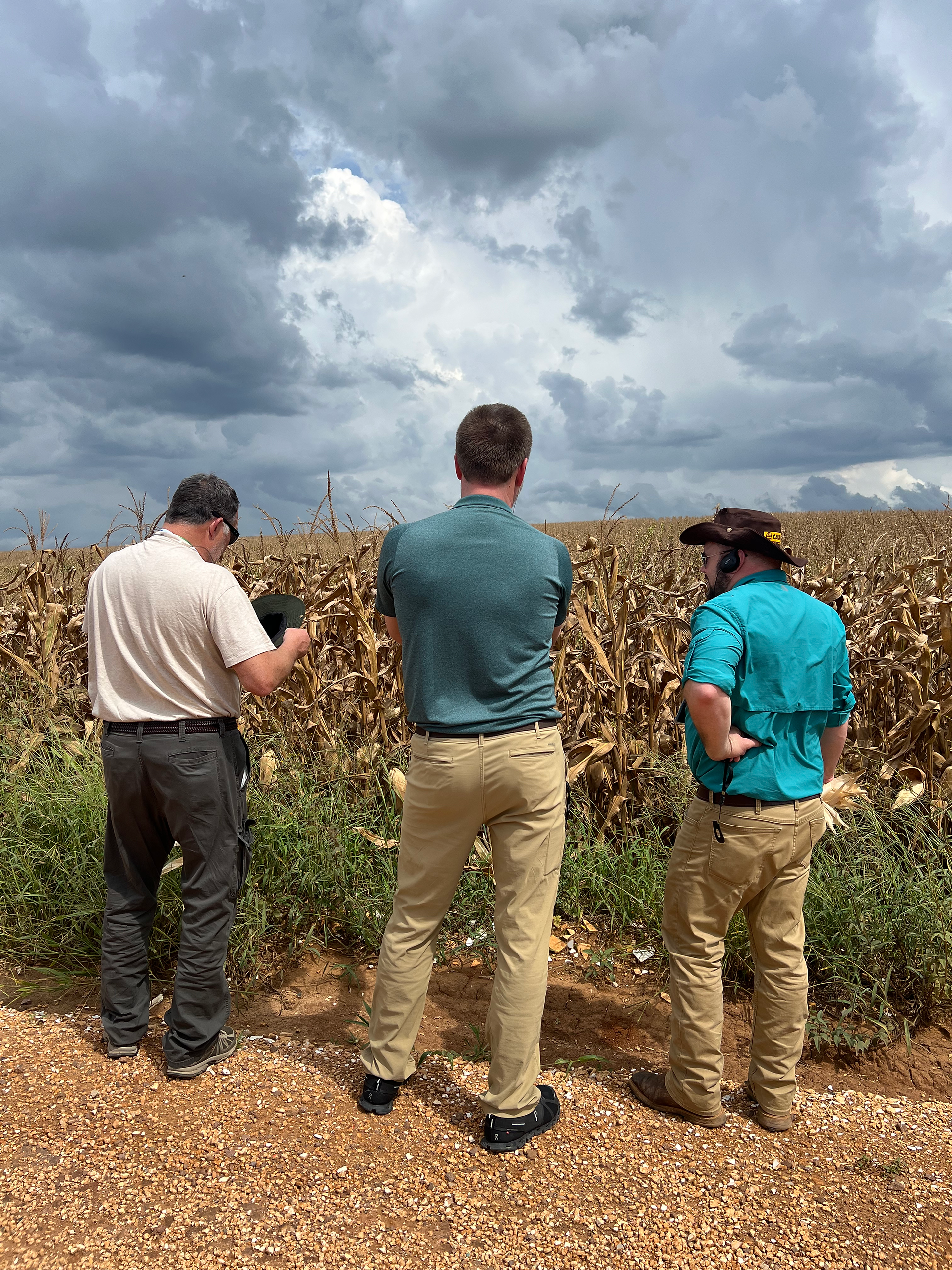produtores do kentucky visitam grupo calpar
