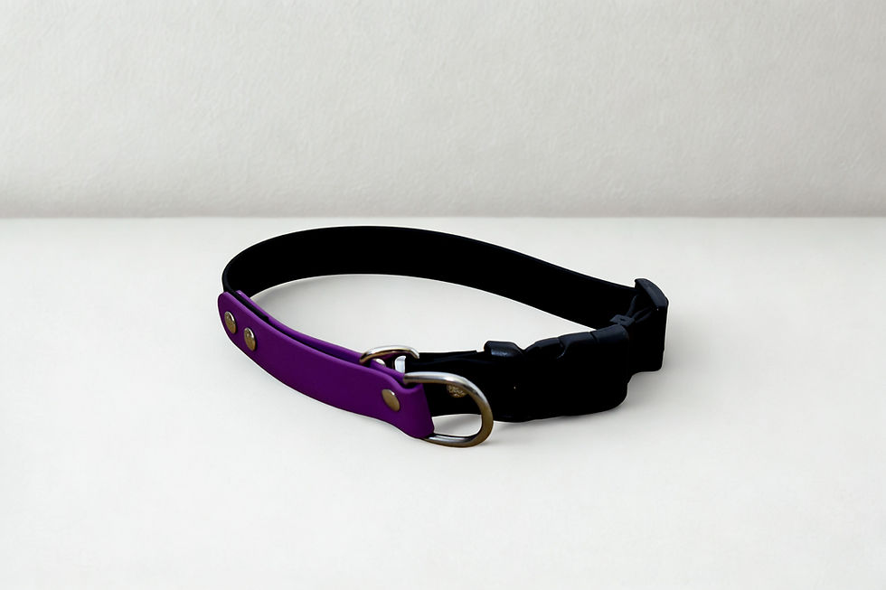 Miniature : Oural martingale 1'' + clip plastique
