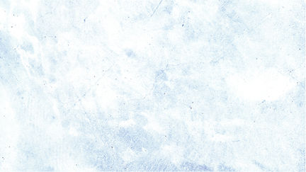 FONDO.jpg