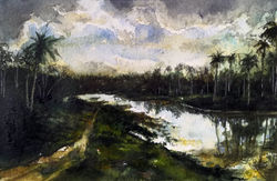 Atardecer en la selva