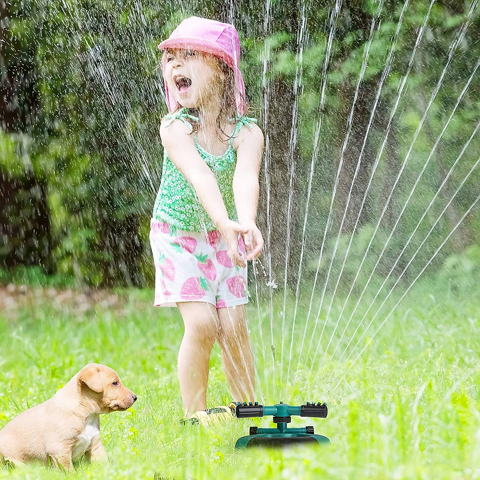 Miniatura: Automatic Rotary Sprinkler for Lawn and Vegetable Irrigation